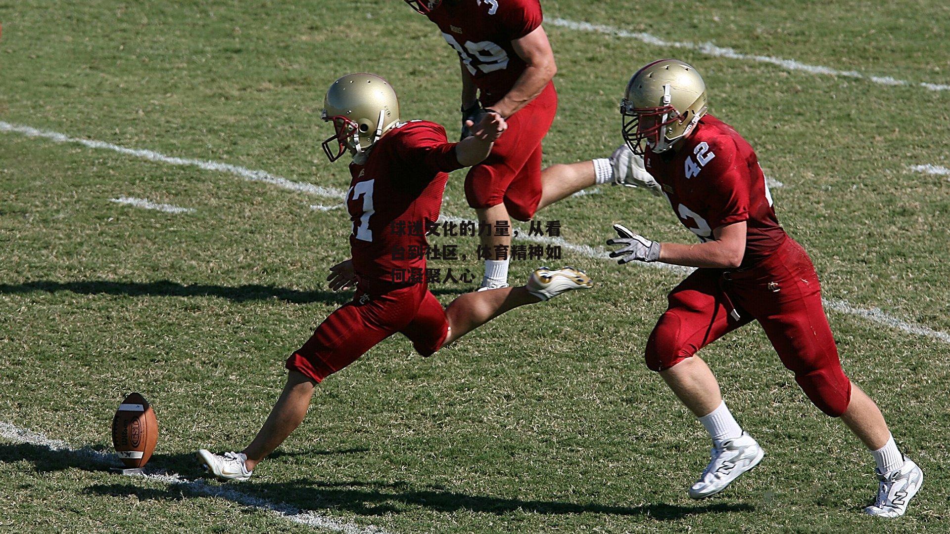 球迷文化的力量，从看台到社区，体育精神如何凝聚人心