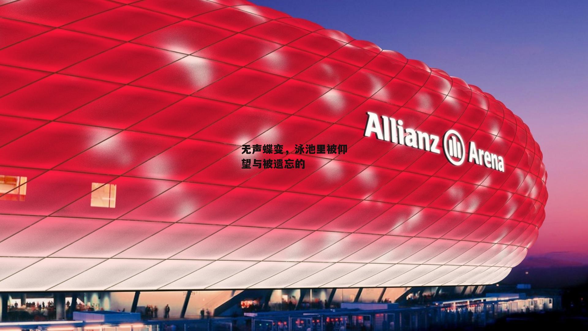 无声蝶变，泳池里被仰望与被遗忘的