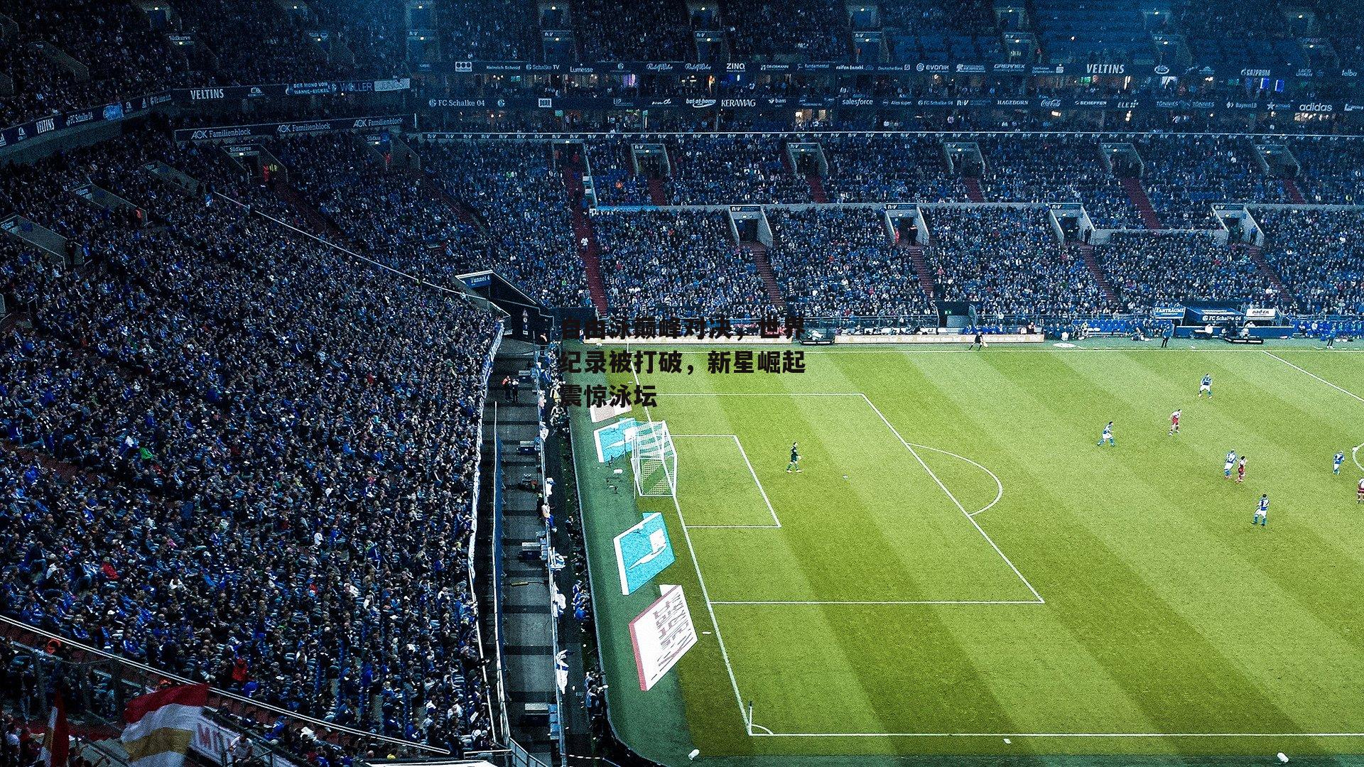 自由泳巅峰对决，世界纪录被打破，新星崛起震惊泳坛|pg模拟器